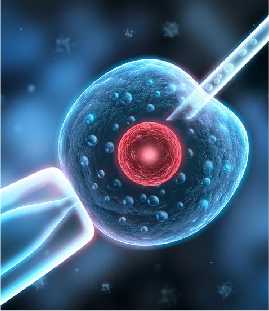 取卵没有卵子怎么回事？ 代孕网站aa69